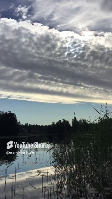 Ленинградская область. Хвойное. 16.07.2024. Дача. Река Вуокса. Ежеминутно сменяющийся пейзаж