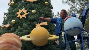 На улицах Сочи появились первые новогодние елки