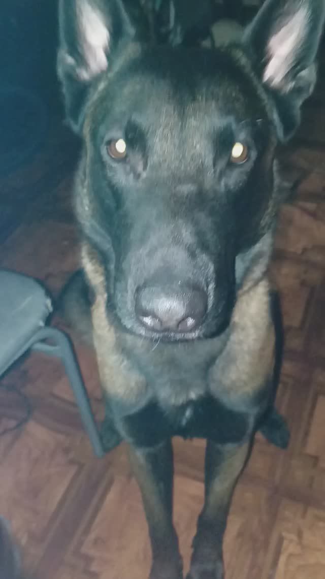 стыдно за это видео!