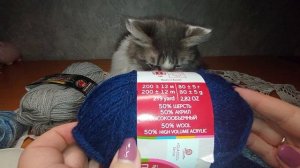 🧦🧶🧦🧶🧦 СП Носочки сТаней 2025🧦🧶🧦🧶🧦
Носочки ноября