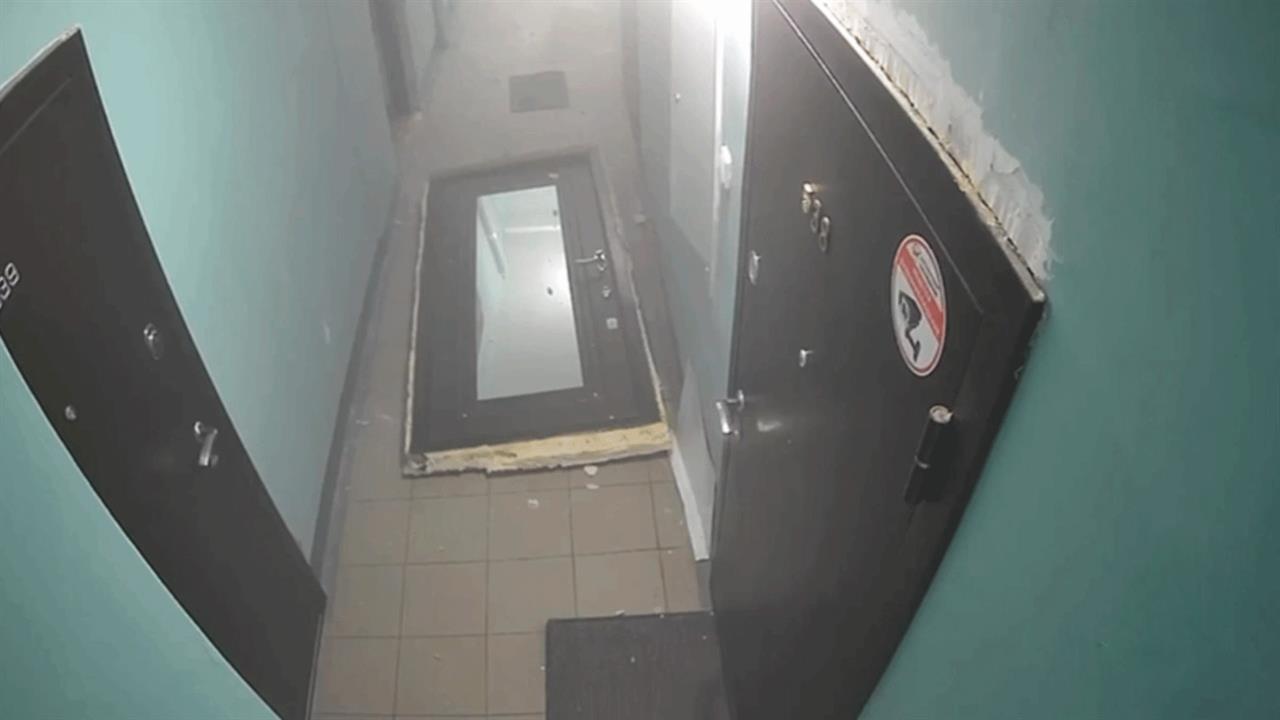 МЧС: квартира в Новосибирске взорвалась из-за собаки и дихлофоса