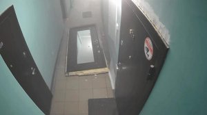 МЧС: квартира в Новосибирске взорвалась из-за собаки и дихлофоса