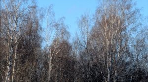 Милые сердцу места! ♥️