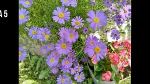 МАМЫ, С ПРАЗДНИКОМ ВАС!