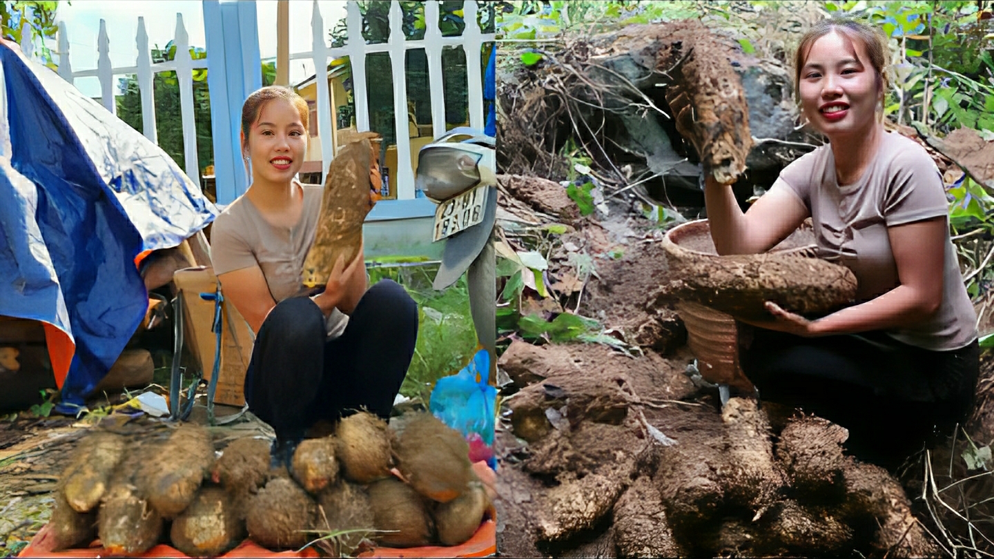 Собираю дикие клубни, что бы продать их на рынке. Готовлю особенное блюдо, которое всем понравится