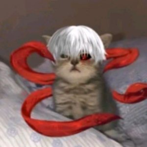 Ʉ₳ ĐɆĐ Ł₦ ₴₳ł₮