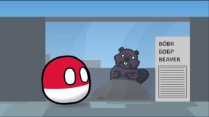 курва животные[[]]] польша