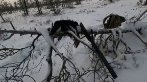 Пришла пора!!! Тетеревиные лунки поспели!!!