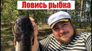 Рыбалка на Волге. Тест подвесного лодочного мотора Mercury 3.3. LIVE версия. Жизнь на острове (2020)