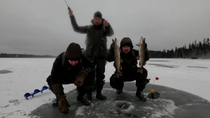 ТРОФЕЙ НА ЖЕРЛИЦЫ. РЫБАЛКА НА ЖЕРЛИЦЫ НА ЛЕСНОМ ОЗЕРЕ. РЫБАЛКА НА САМОЛОВКИ ПО ПЕРВОМУ ЛЬДУ