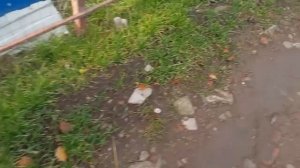 Начала заливать пол в душе. Что за свиньи..