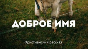 Доброе имя | Христианский рассказ