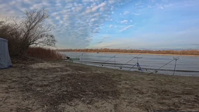 Охота за ПЕЛЕНГАСОМ на реке ДОН