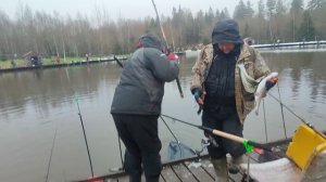 Основной водоём.