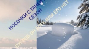 29-11-2025Сп НОСОЧКИ С ТАНЕЙ 2025 НОЯБРЬ