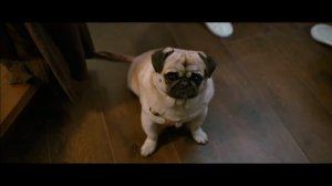 Клип на дораму "Почему он всё ещё одинок?"