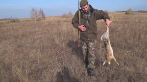 Охота на зайца русака