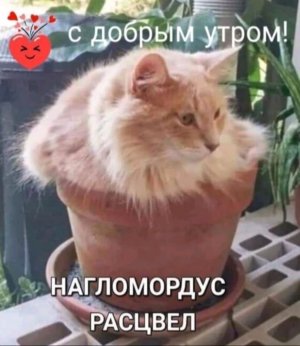 Попи плейтайм в РБ 1, 2 голова