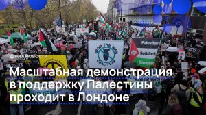 Масштабная демонстрация в поддержку Палестины проходит в Лондоне