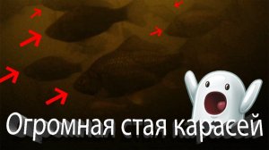 ПЕРВЫЙ РАЗ Такое ВИЖУ! ОПУСТИЛ КАМЕРУ в ЛУНКУ, а Там ОГРОМНАЯ СТАЯ КАРАСЕЙ!