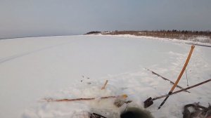 Рыбалка на Енисее. Чёрная дыра, второе начало. 26