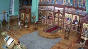 Трансляция 29.11.2025 17:00