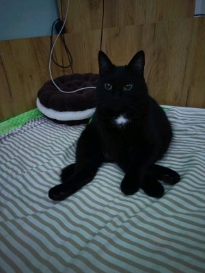 ت играем в рб