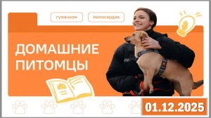 Разговоры о важном 01.12.25. Тема «Домашние питомцы»