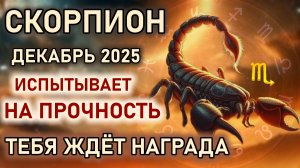Скорпион. Декабрь испытывает на прочность. Твоя награда тебя ждет. Гороскоп декабрь 2025 Скорпион