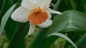 ВИДЕО ПВН  АВ   (313)