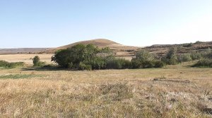 Коп монет в Крыму.