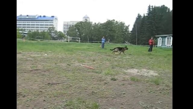 Соревнования _Питч_ Руса. 2009 г.