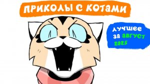 Приколы с котами. ЛУЧШЕЕ ЗА АВГУСТ 2025 | Мемозг