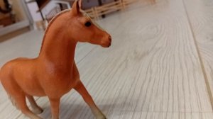 Опрос 📃📄🍱