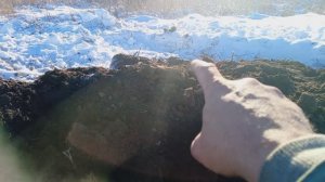 Шурф 2025 Царское серебро