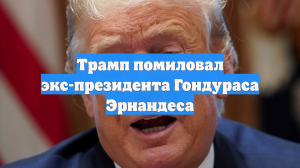 Трамп помиловал экс-президента Гондураса Эрнандеса