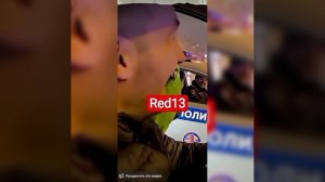 Попугай СТУКАЧ-ДПС