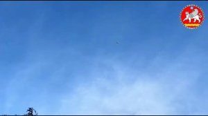 Бойные голуби Ахтема: крымское эхо древнего Самарканда. #голуби #pigeon #kabootarba #pigeonhouse