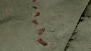 Краткий пересказ фильма (29.11.2025)