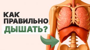 6 упражнений, чтобы начать ПРАВИЛЬНО дышать! / Учимся диафрагмальному дыханию за 15 минут