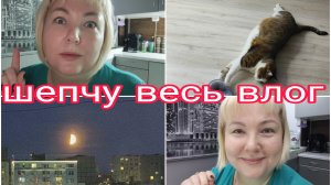 28-11-2025 Отвечаю на комментарии шёпотом * Сходили на юбилей