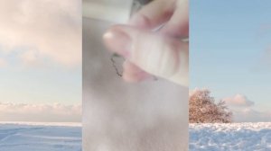 Туториал на бум собаку!  1 часть. 🪼🎼