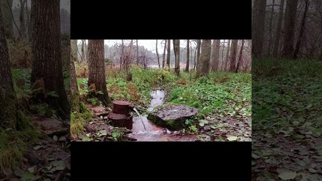 Симптомы трансформации Квантовый переход