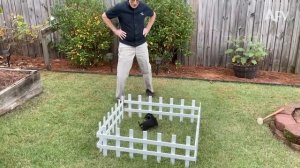 America′s Funniest Home Videos. Good Boys Being Bad Dogs 🐶 Funny Dog Videos