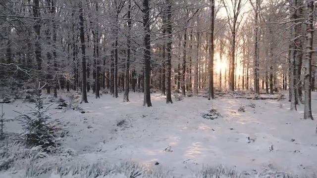 Судьба 29 ноября - Пророчество дня.