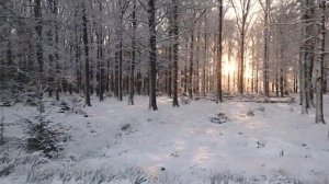 Судьба 29 ноября - Пророчество дня.