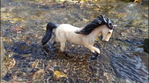 Фотки Севера