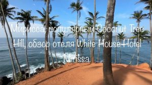 Шри-Ланка 2025 _ Обзор Пляжа Мирисса. Магазины, кафе, фруктовая лавка,  Coconut Tree Hill. #srilanka
