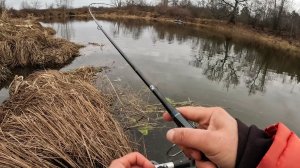 Нашел яму с кучей рыбы, ЧТО НЕ ЗАБРОС ТО ПОКЛЁВКА. Рыбалка на спиннинг в 2025