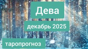 Дева ♍, декабрь 2025
